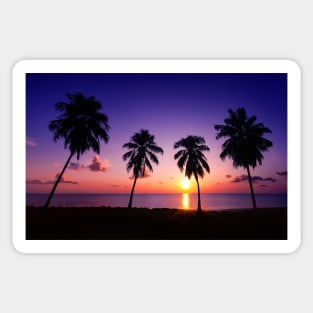 Palm Trees at Sunset Sticker